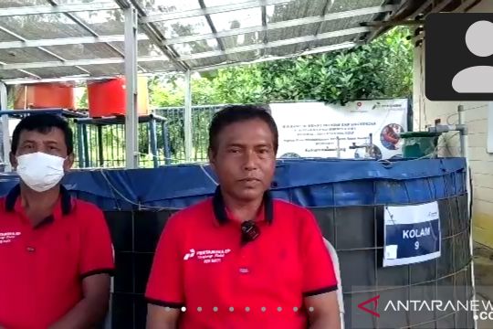 Inovasi bioflok PEP Tanjung Field tingkatkan pendapatan warga Tabalong