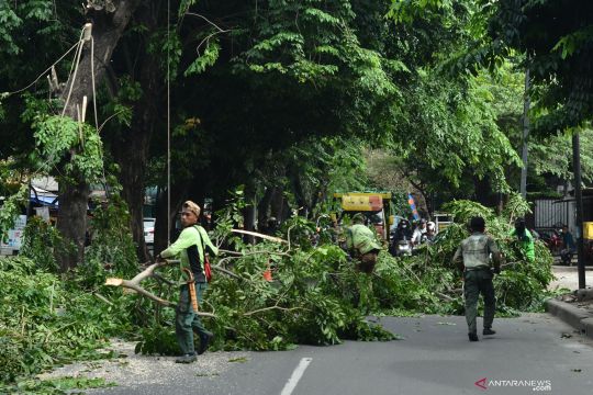 BPBD Jakarta ingatkan potensi cuaca ekstrem pada Sabtu-Minggu