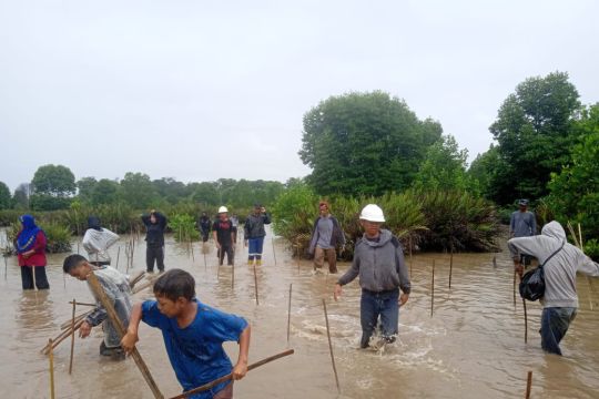 BRGM apresiasi masyarakat rehabilitasi mangrove melalui Mangrove Week