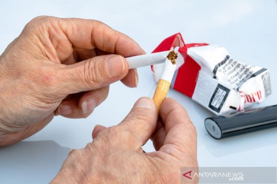 Regulasi tembakau alternatif dinilai bantu tekan prevalensi perokok