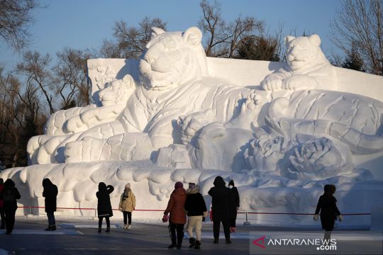 Pameran seni pahatan salju internasional