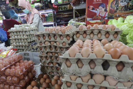 Peternak sebut kenaikan harga telur dan ayam merupakan siklus tahunan