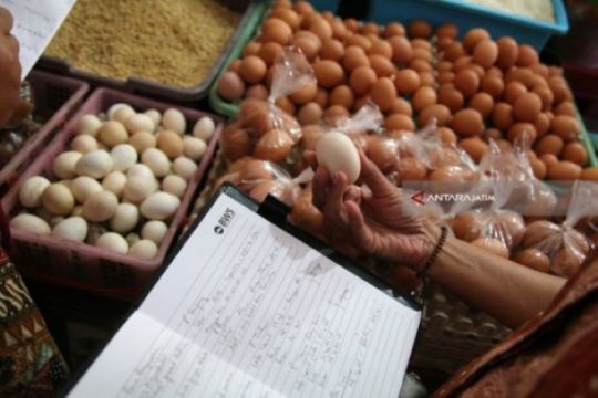 Harga telur ayam di Kota Madiun tembus Rp30.000/Kg