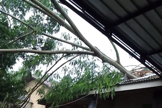 Angin kencang rusak rumah warga Pamekasan di tiga kecamatan