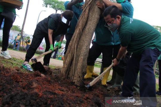 Dinas Pertamanan dan Hutan Kota DKI tanam pohon jelang tutup tahun