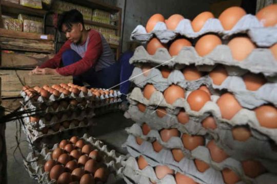 BI prediksi inflasi Januari 2022 0,61 persen, disumbang telur ayam ras