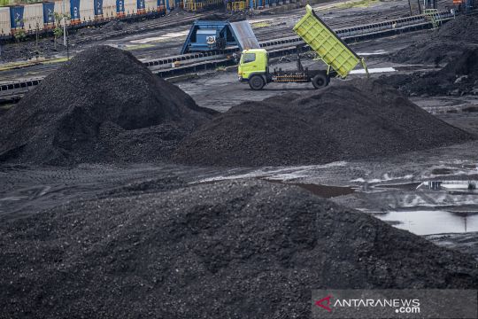 Muhammadiyah dukung kebijakan larang ekspor batu bara