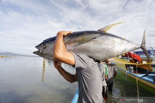 Menteri KKP: Regulasi ramping-akurat untuk terobosan sektor perikanan