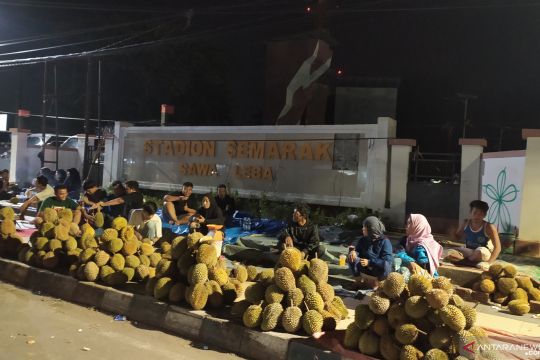 Kota Bengkulu pesta durian
