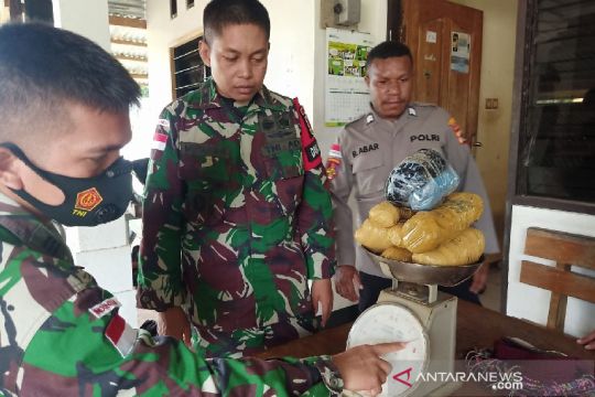 Satgas TNI Yonif 711 amankan barang bukti  ganja di perbatasan RI-PNG