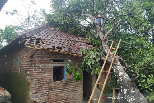 Delapan rumah rusak diterjang angin dan pohon tumbang di Tasikmalaya