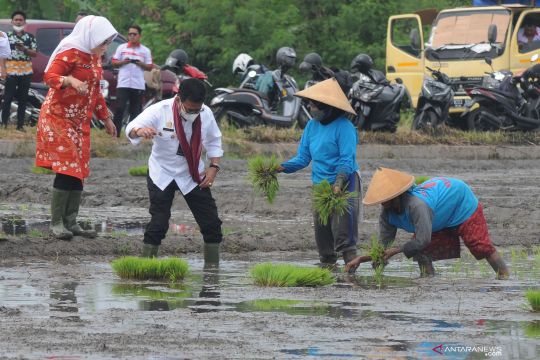 Kementerian Pertanian mencanangkan IP 400 di Kabupaten Klaten, Jawa Tengah