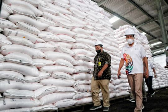 Pupuk Indonesia akan uji coba distribusi pupuk bersubsidi melalui KA