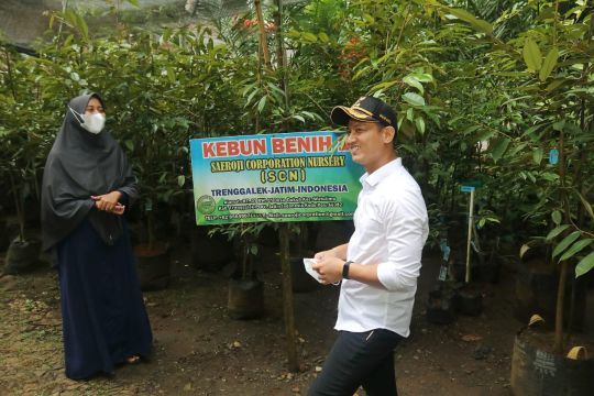 Permintaan bibit durian Ripto naik berkat video Presiden Jokowi