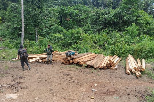 Tim gabungan musnahkan kayu ilegal di kawasan HP Air Rami Mukomuko
