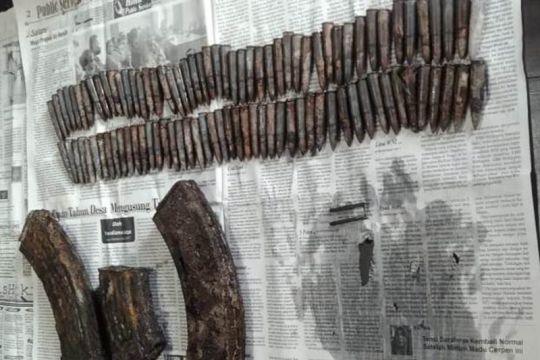 Polisi selidiki temuan peluru dan magazen AK-47 oleh warga di Kupang