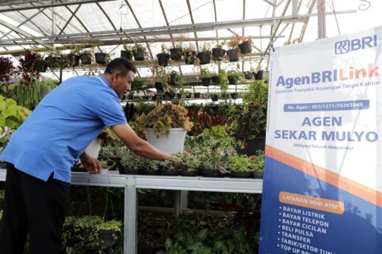 BRI-Kementerian BUMN dukung pengembangan UMKM tanaman hias