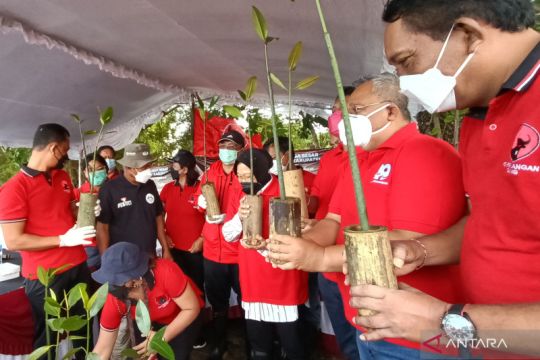 PDIP peringati HUT ke-49 dengan menanam mangrove di Kabupaten Badung