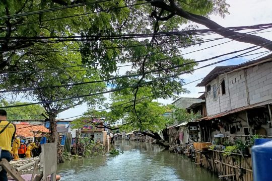 Wali Kota Jakbar semprot disinfektan di lokasi banjir Tegal Alur