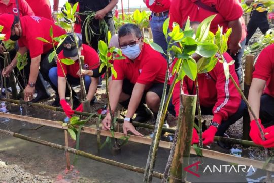 21.000 bibit pohon ditanam di lima daerah di wilayah Bali