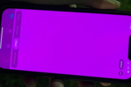 Pengguna iPhone 13 Pro alami "pink screen", ini jawaban Apple