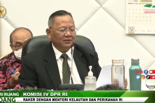 Ketua Komisi IV DPR RI ingin anggaran KKP dapat ditambah