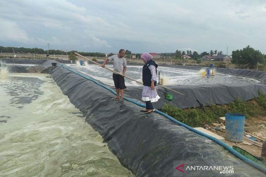 Kerugian sektor perikanan Aceh Utara akibat banjir capai Rp2,5 miliar