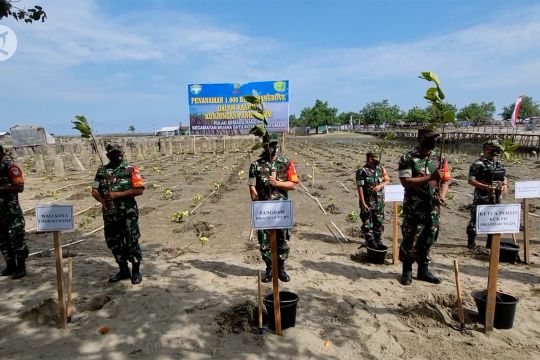 Kodam Iskandar Muda tanam 1000 mangrove di Pulau Semadu Rancung