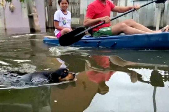 Sedikitnya 20 orang tewas akibat banjir di Brazil