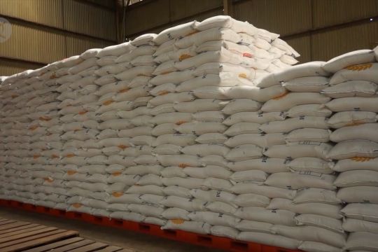 Stok beras di Papua dan Papua Barat aman
