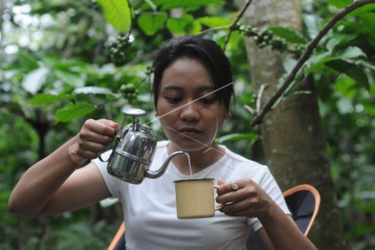 Wisata kebun kopi di kaki Gunung Merbabu Page 1 Small