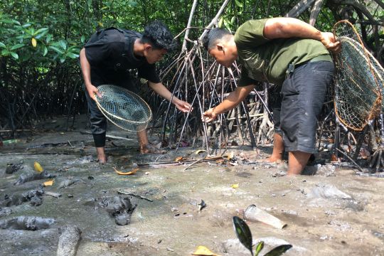 Minyak oli tutupi hutan mangrove Kuala Dangas Page 1 Small