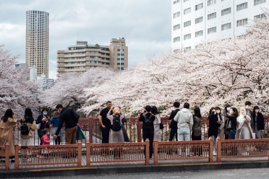 Jepang akan buka tur skala kecil dari 4 negara sebagai uji coba
