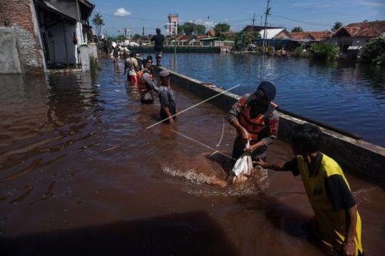 Ruas tanggul Sungai Meduri Pekalongan jebol Page 4 Small