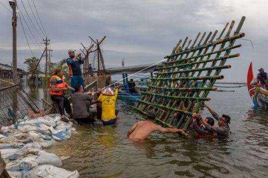 Penanggulangan tanggul jebol di Pelabuhan Tanjung Emas Semarang Page 4 Small