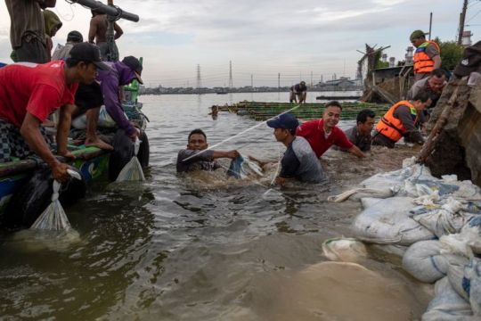 Penanggulangan tanggul jebol di Pelabuhan Tanjung Emas Semarang Page 2 Small