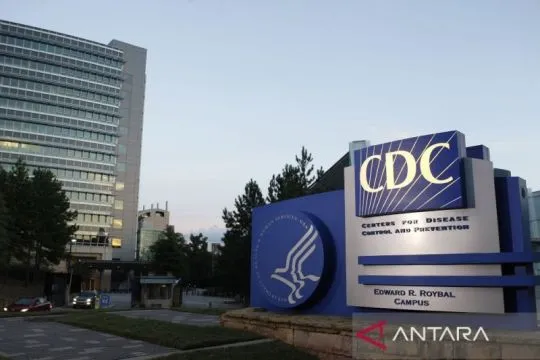 CDC tetapkan wabah hantavirus di kapal pesiar level darurat 3