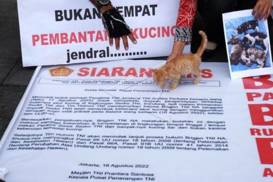 Unjuk rasa kasus penembakan kucing Page 1 Small