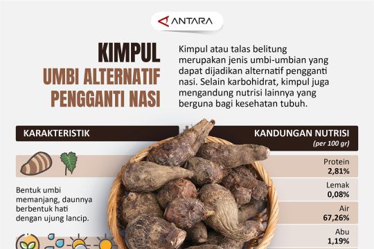 Kimpul, umbi alternatif pengganti nasi