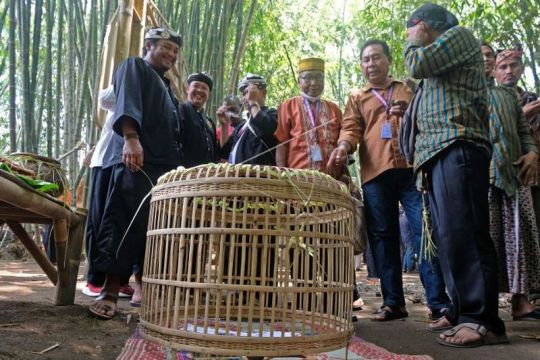 Temu tetua adat di Borobudur Page 3 Small