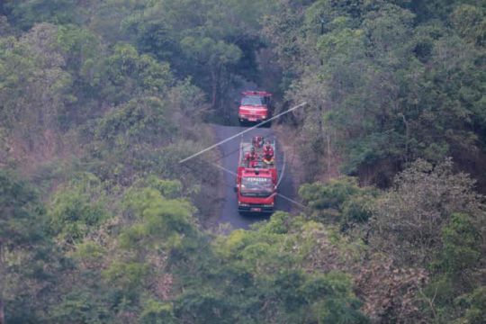 Kebakaran hutan Gunung Ciremai dapat dikendalikan
