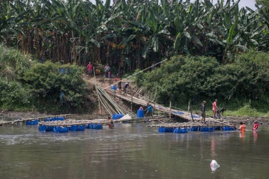 Jembatan darurat sesek bambu rusak Page 3 Small