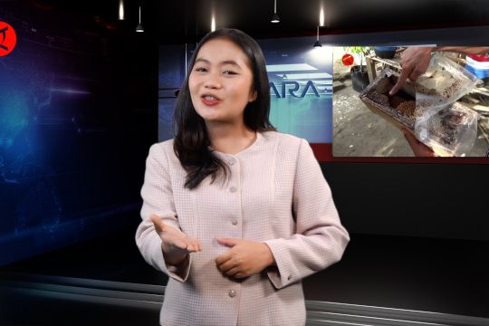 Perubahan nama jalan di DKI Jakarta, hingga budidaya Lebah Klanceng