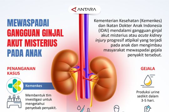 Mewaspadai gangguan ginjal akut misterius pada anak