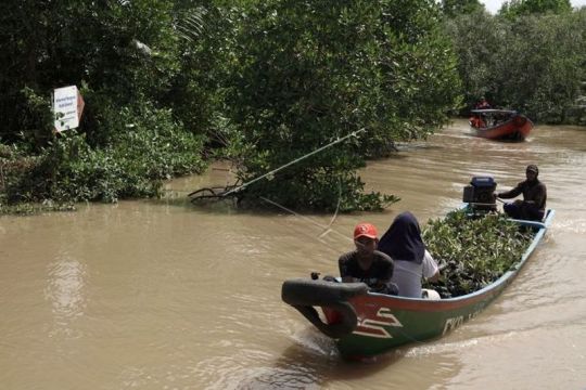 Konservasi mangrove di Segara Anakan Page 3 Small