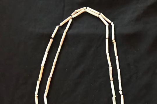 Tim arkeolog Mesir temukan mumi dengan lidah emas