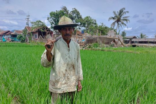 Pemkab Cianjur siapkan skema alih profesi petani terdampak gempa