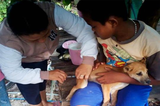 Pemkab Barito Utara tindaklanjuti kasus warga digigit anjing
