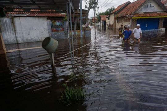 Banjir di Pekalongan Page 1 Small