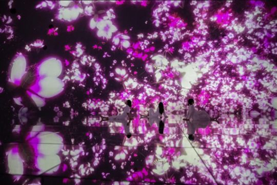 Lebih dari Separuh Pengunjung teamLab Planets di Toyosu, Tokyo, Adalah Turis Asing